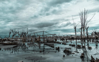 Federal vs. Private Flood Insurance: What’s the Difference?